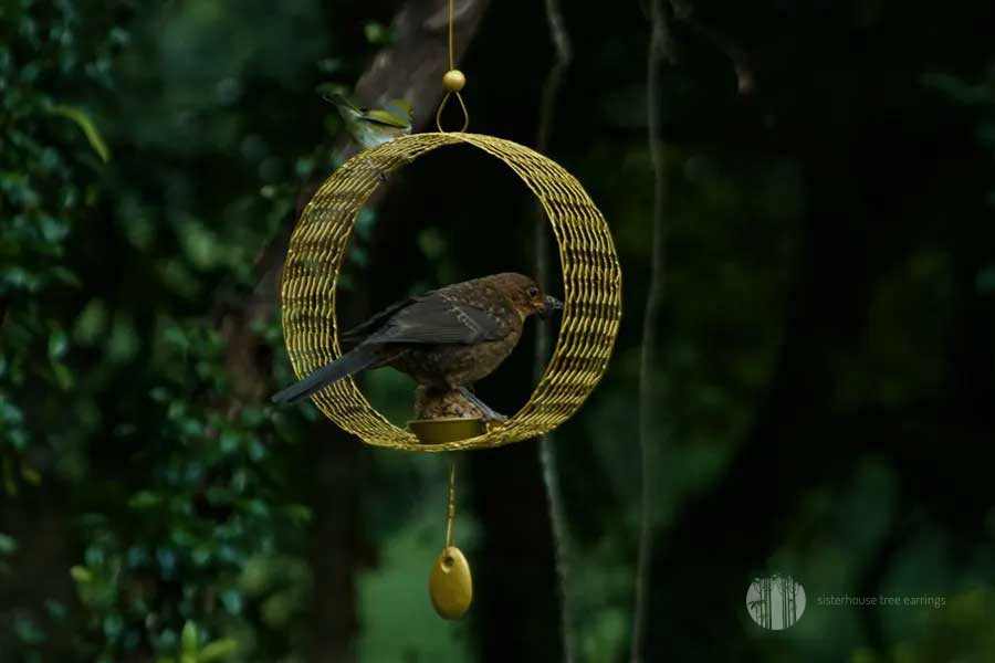 Nectar Ring Tree Earring Bird Feeder