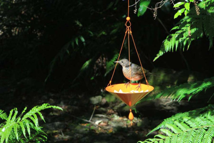 Salver Tree Earring Bird Feeder